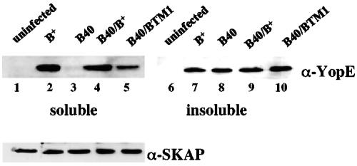 FIG. 5.