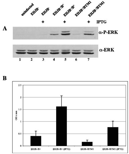 FIG. 9.