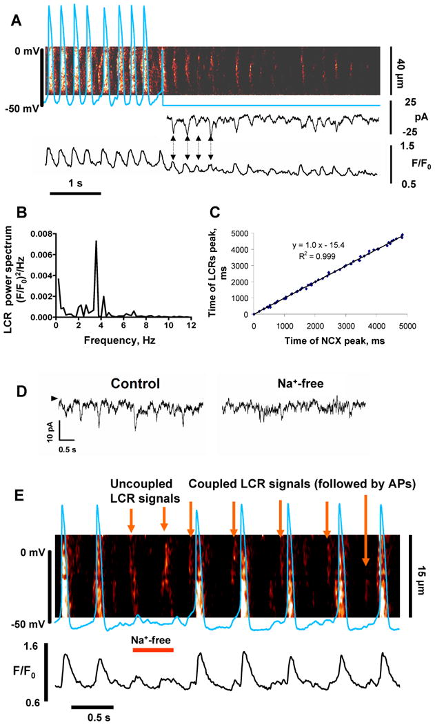 Fig.4