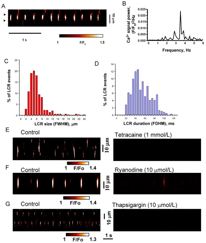 Fig.2