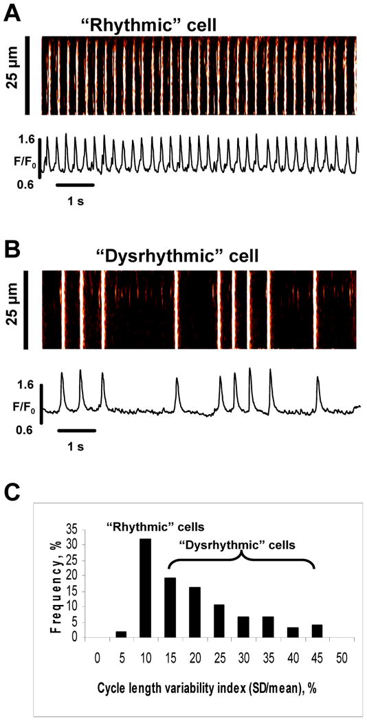 Fig.1