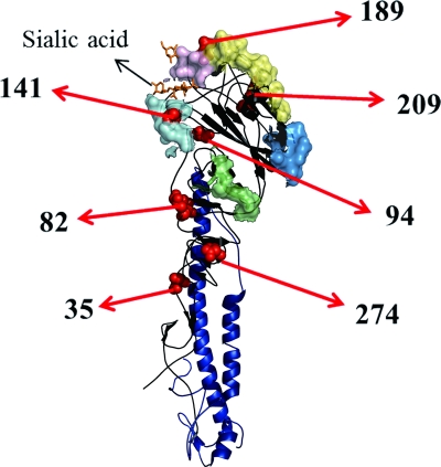 Fig 3