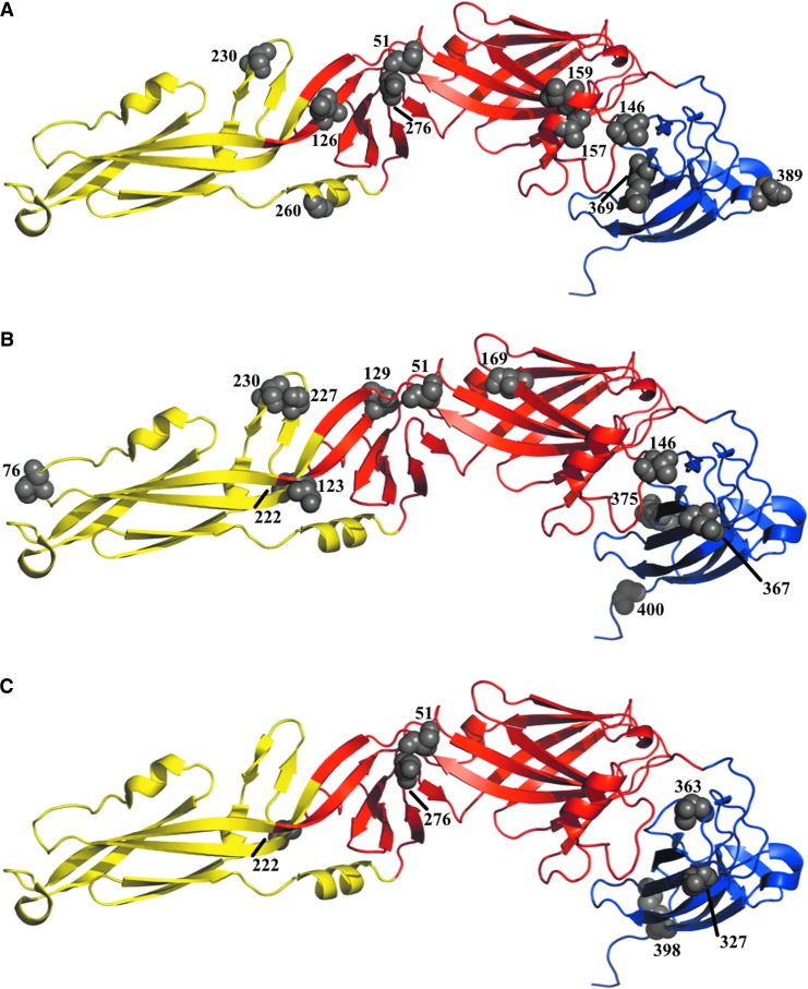 FIG. 3.