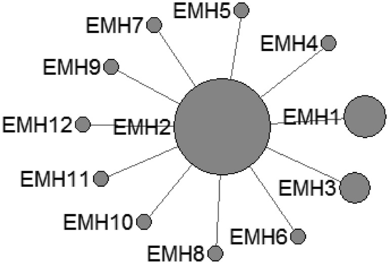 Fig. 2.