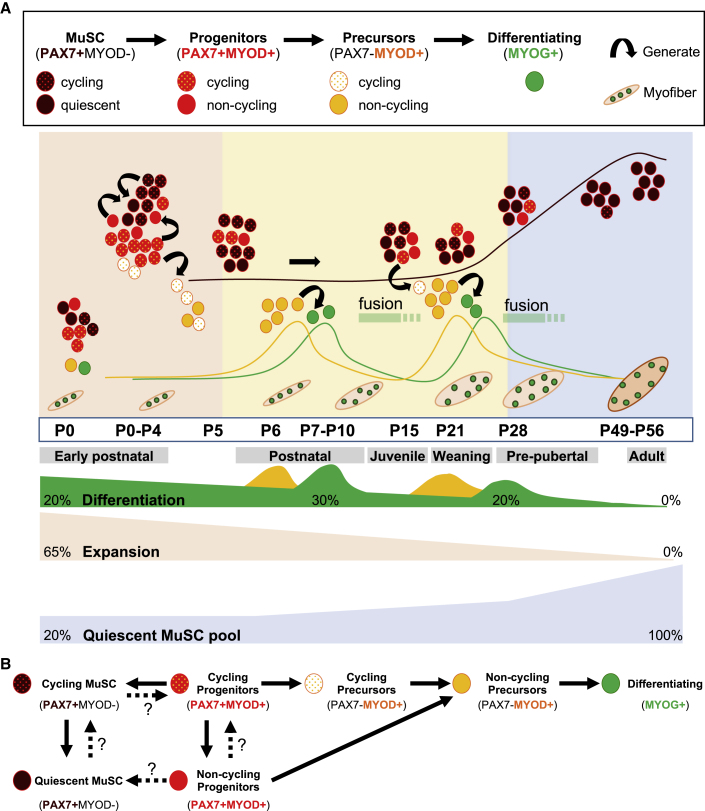 Figure 6