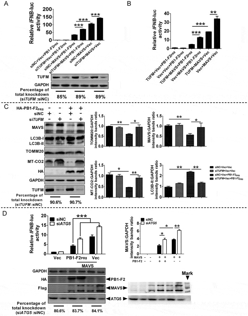 Figure 5.