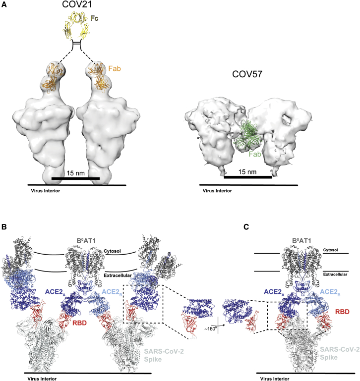 Figure 7