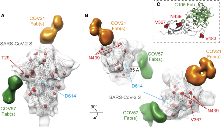 Figure 6