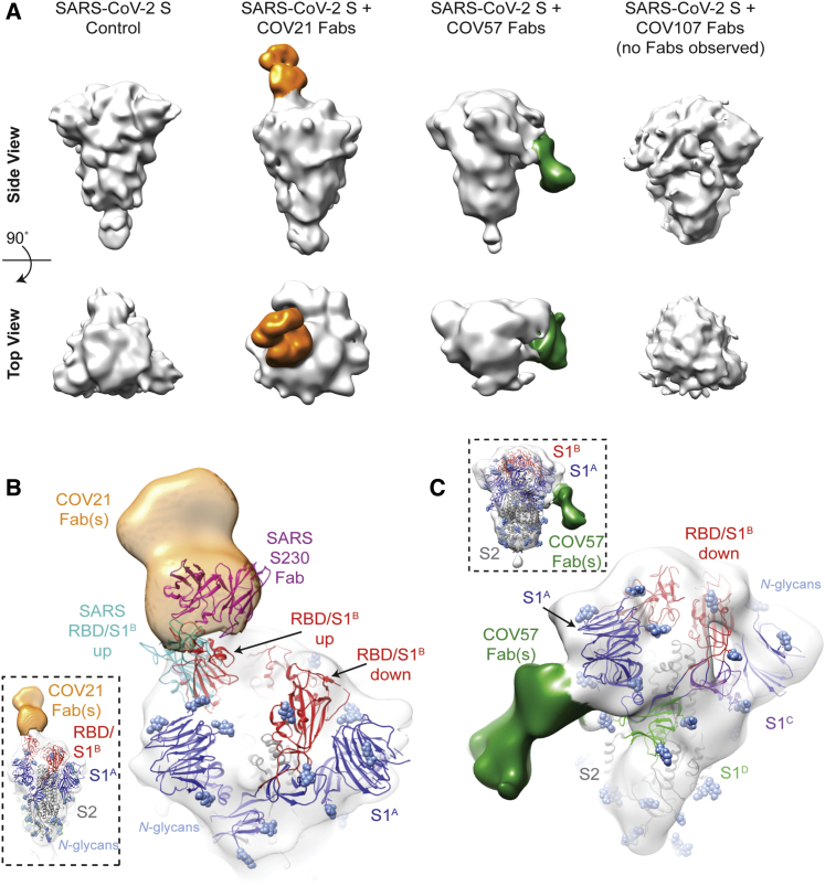 Figure 4