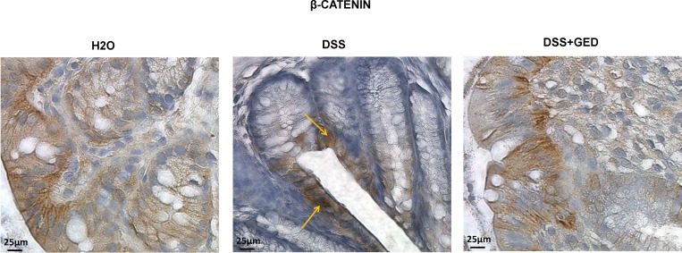 Fig 9