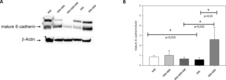 Fig 11