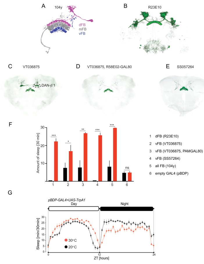 Figure 4—figure supplement 1.