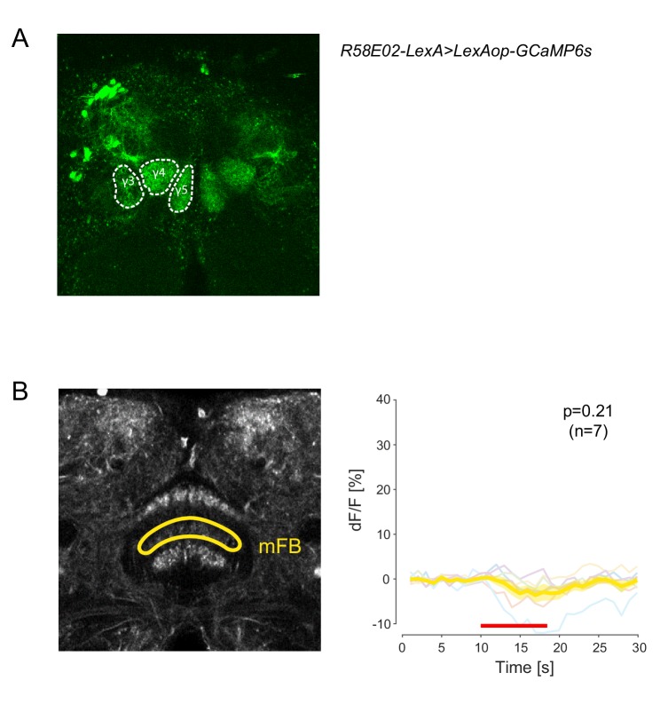 Figure 3—figure supplement 3.