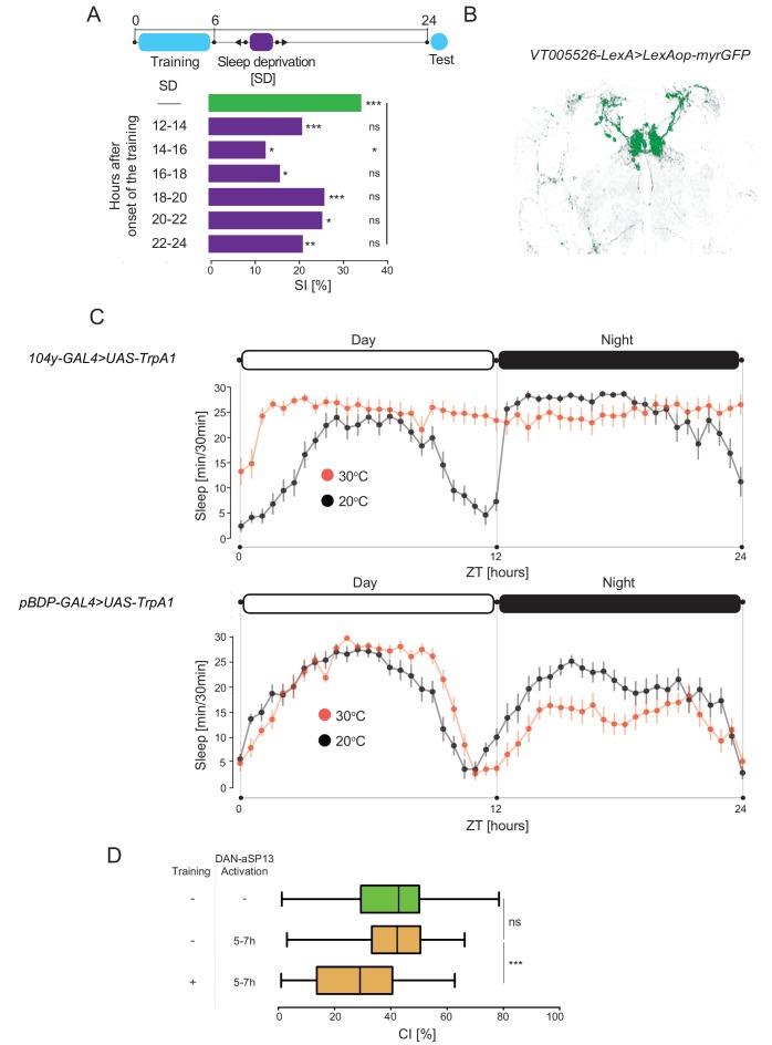 Figure 2—figure supplement 1.