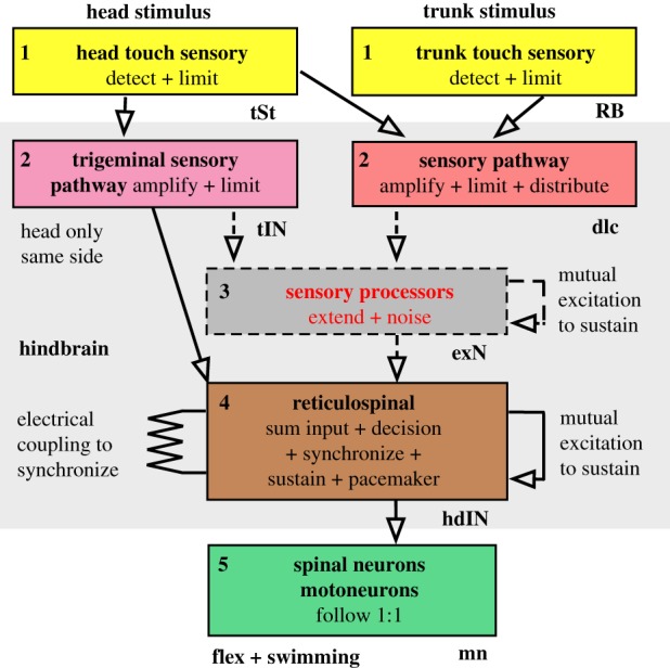 Figure 2.