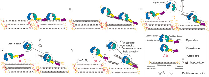 Fig. 6