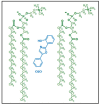 Figure 2.