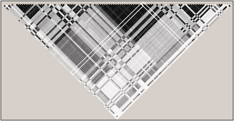 Figure 3: