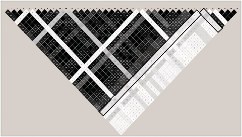 Figure 2: