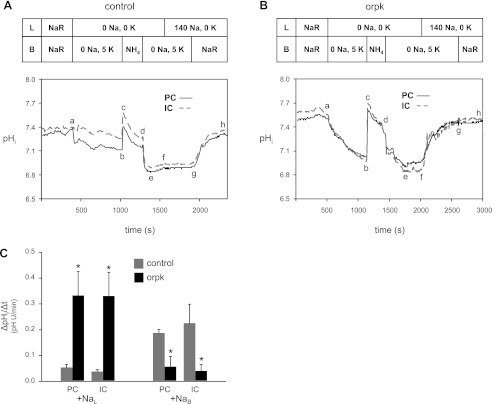 Fig. 11.