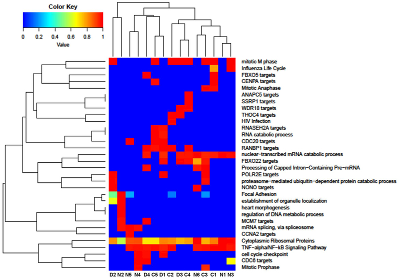 Figure 6: