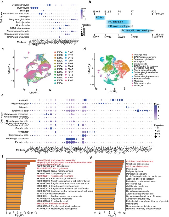 Extended Data Fig. 5