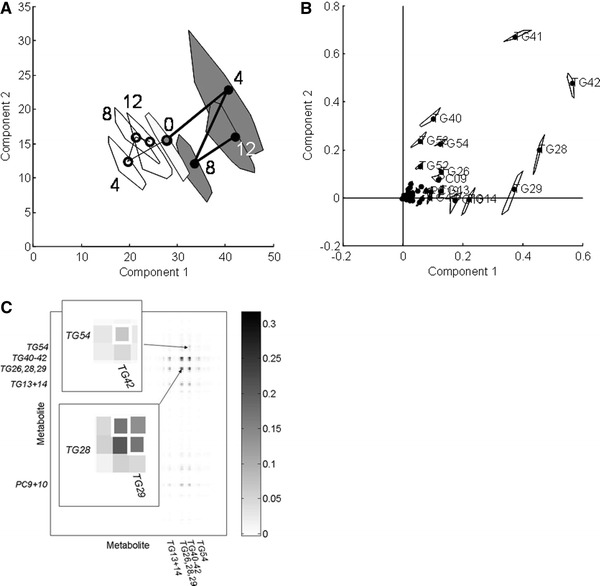 Fig. 3