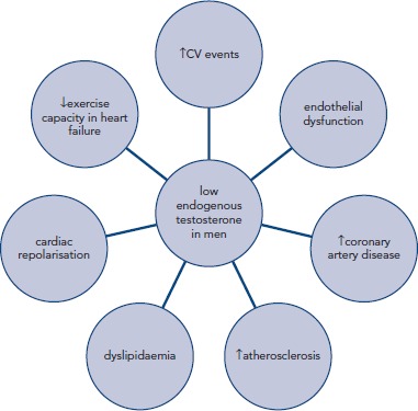 Figure 1: