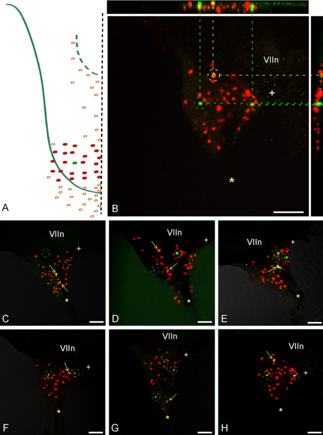 Figure 6.