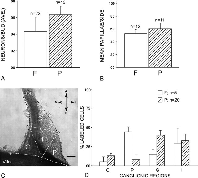 Figure 10.