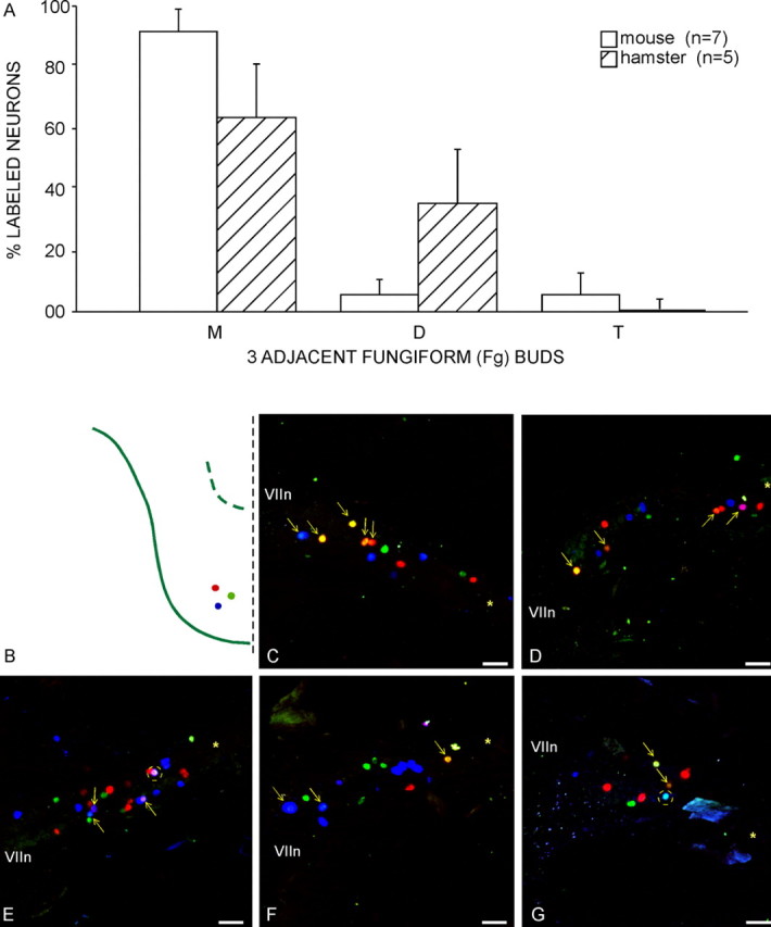 Figure 12.