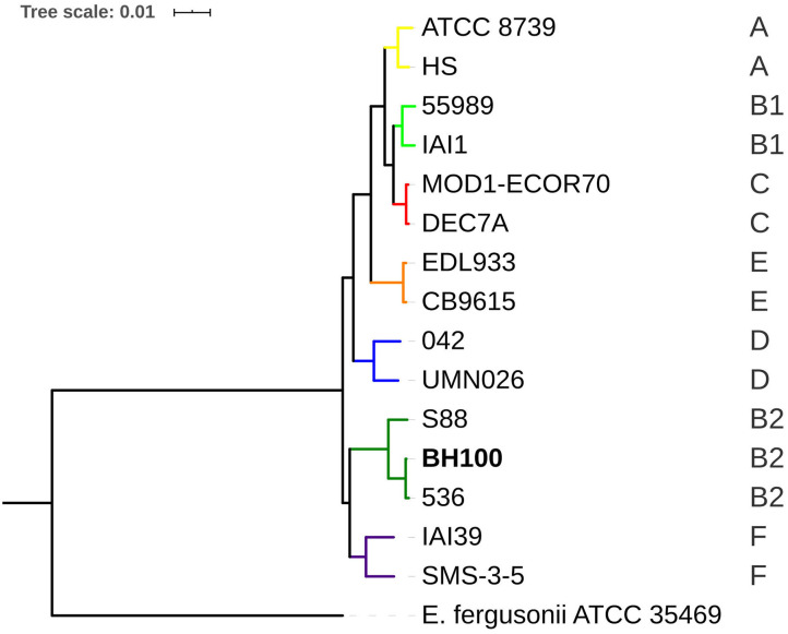 Figure 7