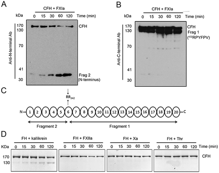 Figure 2: