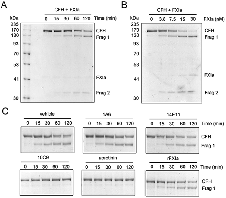 Figure 1: