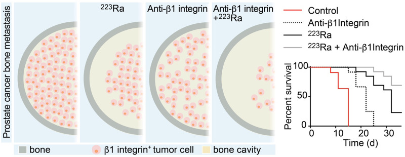 graphic file with name jnumed.121.262743absf1.jpg