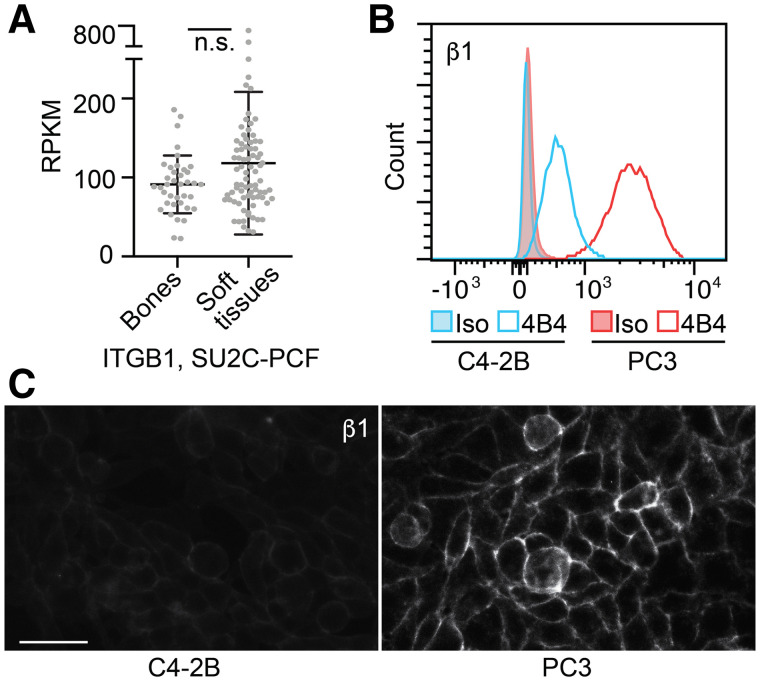 FIGURE 1.