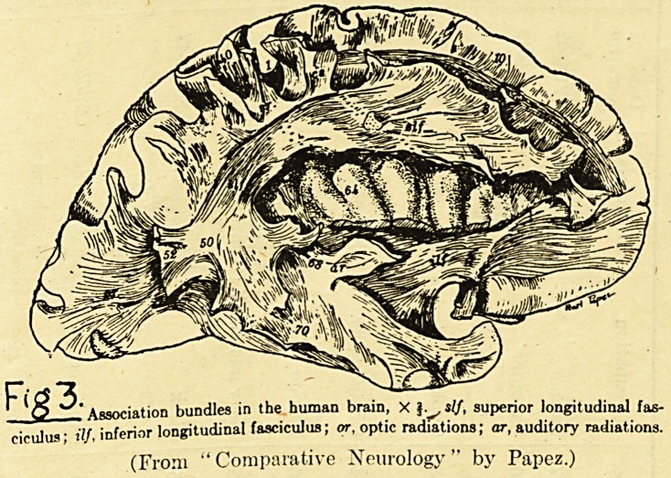 Fig 3.