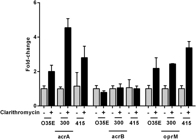 FIG 4