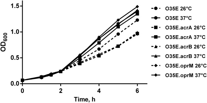 FIG 6