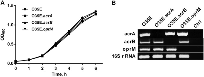 FIG 1