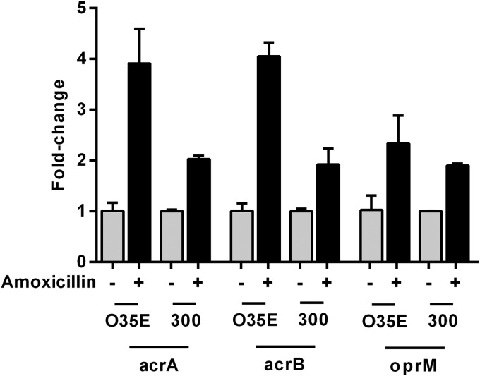 FIG 2