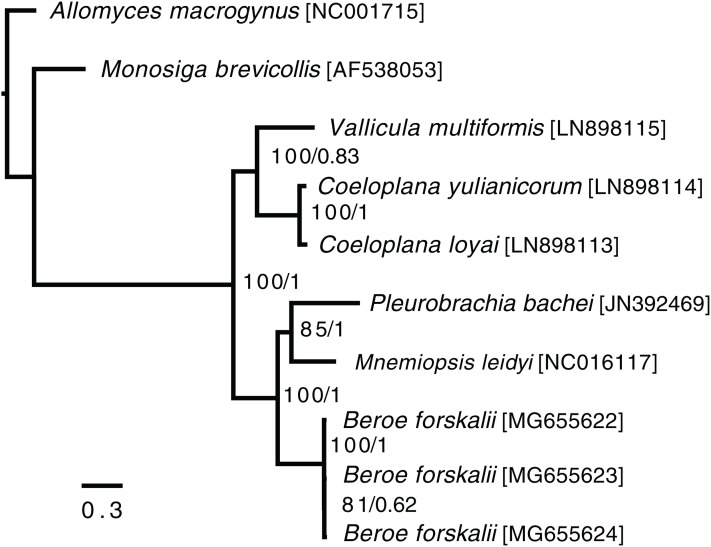 Figure 4