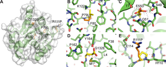 FIG 3