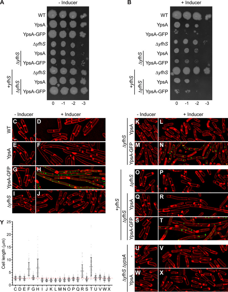 FIG 4