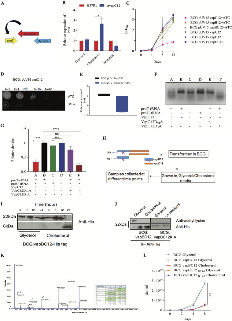 FIG 2