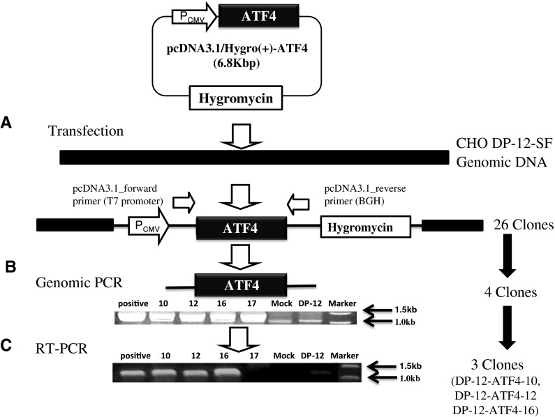 Fig. 2