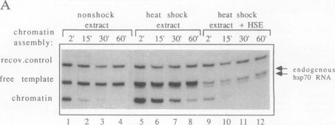 graphic file with name pnas01060-0062-a.jpg