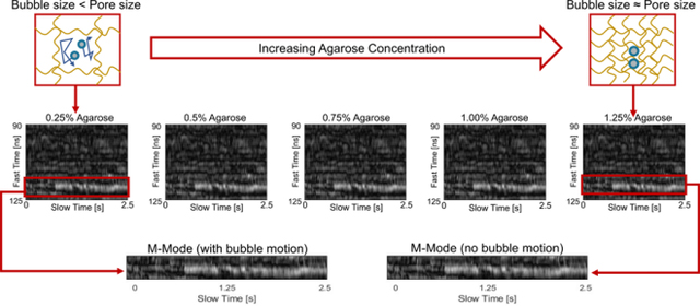 graphic file with name nihms-1640023-f0001.jpg