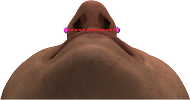 Fig. 6