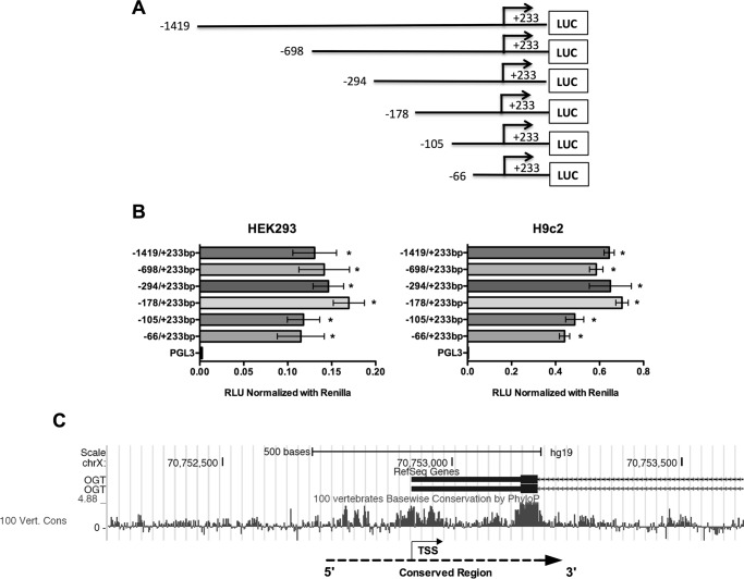 FIGURE 1.